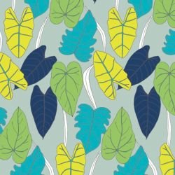 wild fronds ivy variety rosella