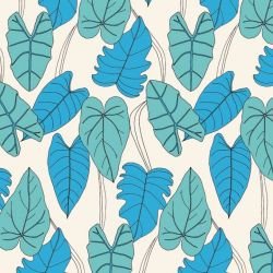 wild fronds ivy variety wyoming