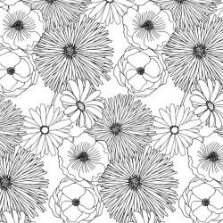 flower spray daisy dose black white