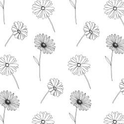 flower spray daisy stems black white