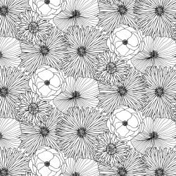 flower spray gerbera perennials back white