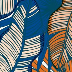 fronds falling fronds winterlight detail