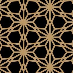 shimmer aikiko dark gold look