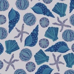 ocean life she shells sea shells blue lagoon