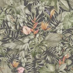 animal tropics jungle coverage lead