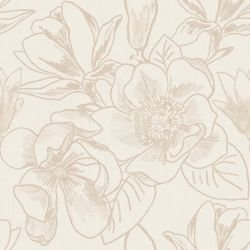 magnolia in full bloom cream