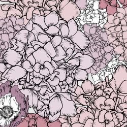 australian summer garden flower power fuchsia detail