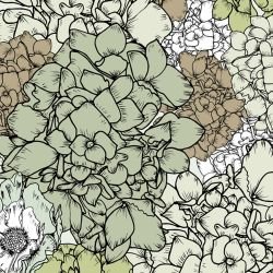 australian summer garden flower power green detail