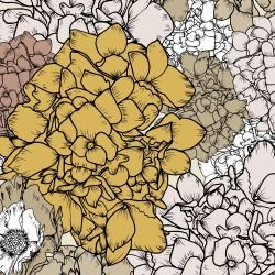 australian summer garden flower power yellow detail