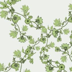 australian summer garden flower ranking green