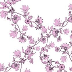 australian summer garden flower ranking pink