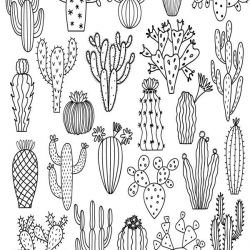 colour in clustered cacti tar