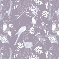 native fauna high flyers lilac