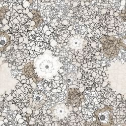 australian summer garden flower power sepia