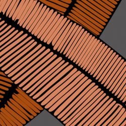 fronds floating feather autumn detail