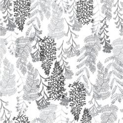 bushland blooms fern fan grey