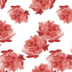 gardenlife cabbage firebrick 