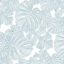 fronds silhouette monsteria mix cloud white 