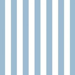 oversized stripe  sam sky 