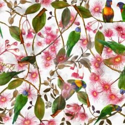 australian forest beaks and blooms bright 