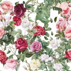 enchanted garden charmed mixed peonies white  