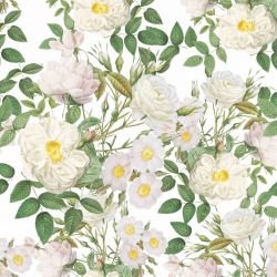 enchanted garden lady daisy white  