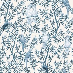 animal tropics perching parrots cloud