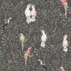 animal tropics perching parrots lead