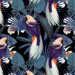 animalplanet jungle birds night