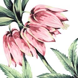 jungle chic jungle lily day