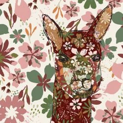 darwinian alpaca australian natives