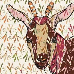 darwinian goat australian natives