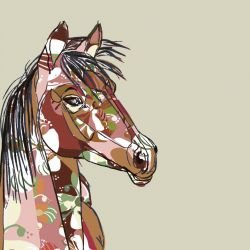 darwinian horse australian natives