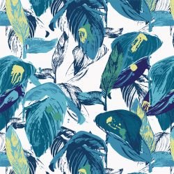 darwinian modern touch evolve