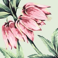 jungle chic jungle lily swamp