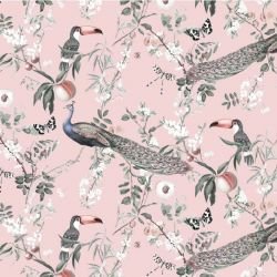 jungle chic peacock jungle candyfloss