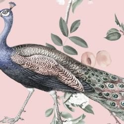 jungle chic peacock jungle candyfloss 