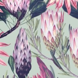 jungle chic protea jungle fresh
