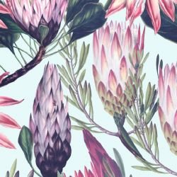 jungle chic protea jungle sky 