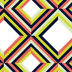 nouveaucollective duchamp small tropicals