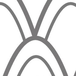 nouveaucollective feather grand koala