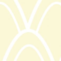 nouveaucollective feather grand lemon icing