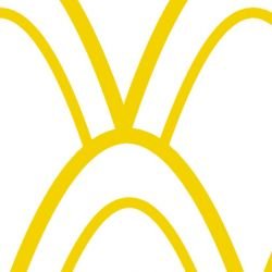 nouveaucollective feather grand mustard