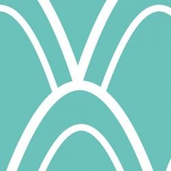 nouveaucollective feather grand teal reverse