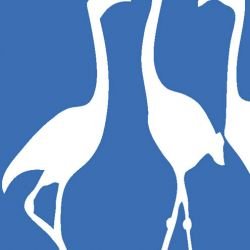 nouveaucollective flamingo cobalt