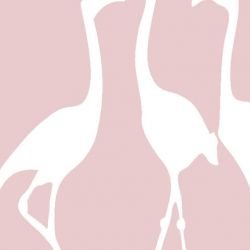 nouveaucollective flamingo cotton candy