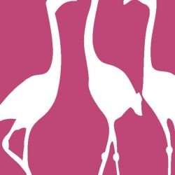 nouveaucollective flamingo fuschia