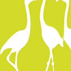 nouveaucollective flamingo lemon twist