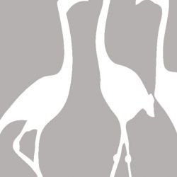 nouveaucollective flamingo smoke