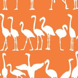 nouveaucollective flamingo stripe tsatsuma
